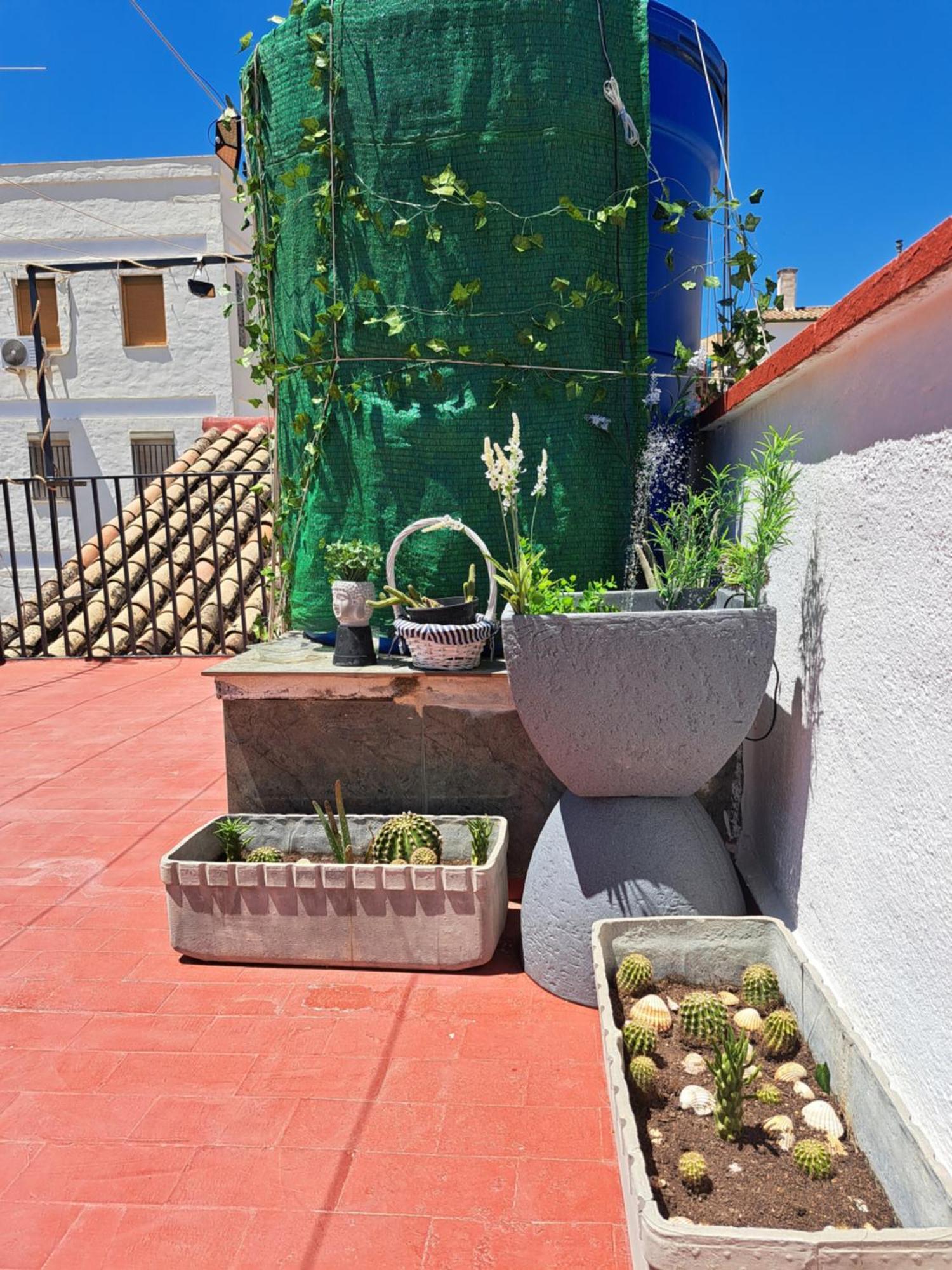 דירות Jaén Casa Paloma מראה חיצוני תמונה